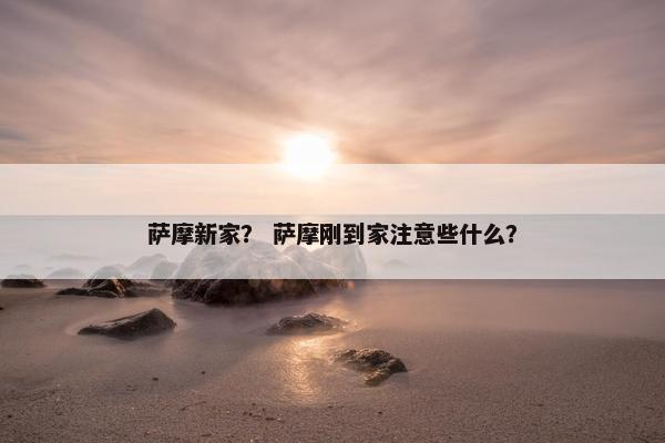 萨摩新家? 萨摩刚到家注意些什么?