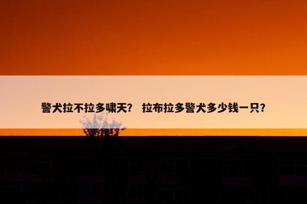 警犬拉不拉多啸天? 拉布拉多警犬多少钱一只?