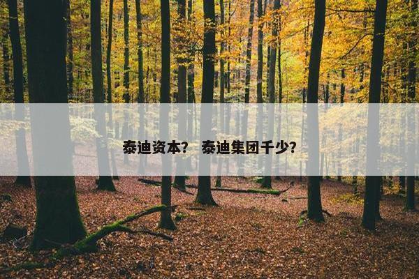 泰迪资本? 泰迪集团千少?