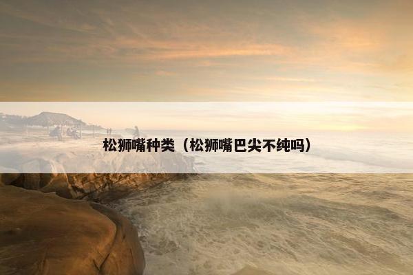 松狮嘴种类（松狮嘴巴尖不纯吗）