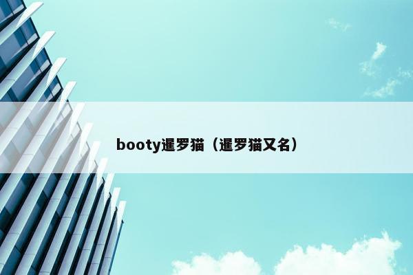 booty暹罗猫(暹罗猫又名)
