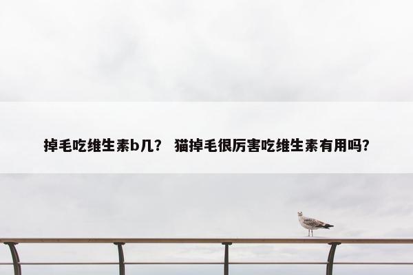 掉毛吃维生素b几? 猫掉毛很厉害吃维生素有用吗?