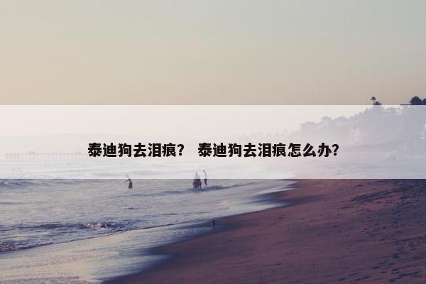 泰迪狗去泪痕? 泰迪狗去泪痕怎么办?
