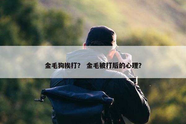 金毛狗挨打? 金毛被打后的心理?