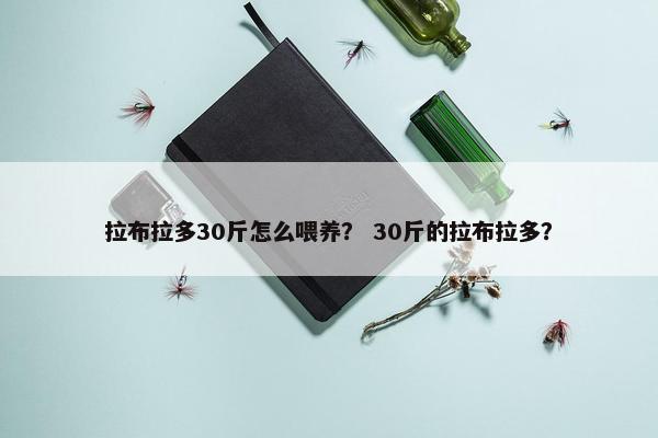 拉布拉多30斤怎么喂养? 30斤的拉布拉多?