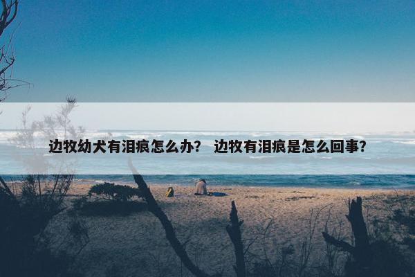 边牧幼犬有泪痕怎么办? 边牧有泪痕是怎么回事?