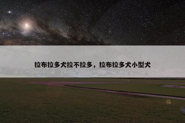 拉布拉多犬拉不拉多,拉布拉多犬小型犬