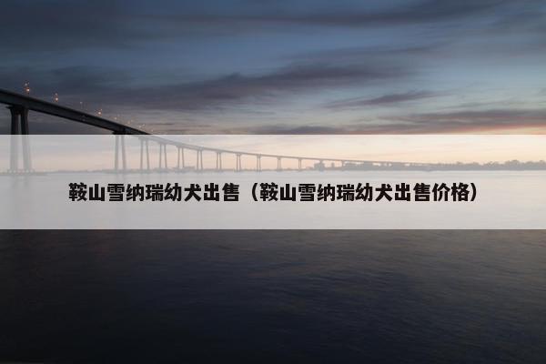 鞍山雪纳瑞幼犬出售(鞍山雪纳瑞幼犬出售价格)