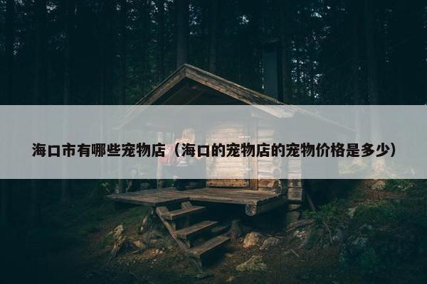 海口市有哪些宠物店(海口的宠物店的宠物价格是多少)