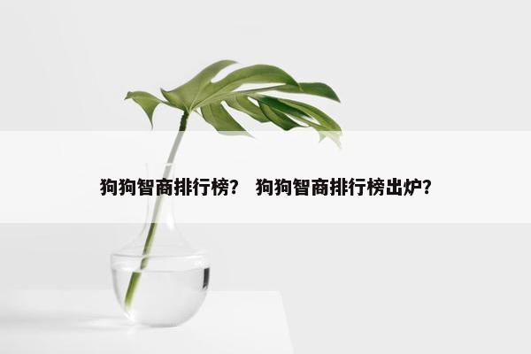 狗狗智商排行榜? 狗狗智商排行榜出炉?