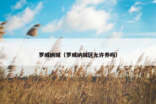 罗威纳城(罗威纳城区允许养吗)