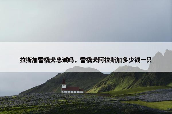 拉斯加雪橇犬忠诚吗,雪橇犬阿拉斯加多少钱一只