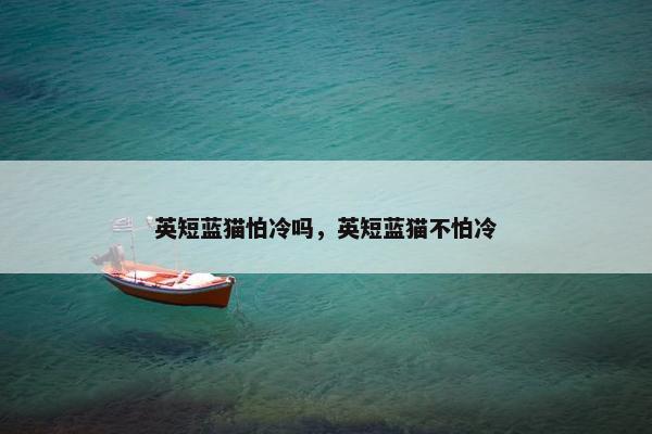 英短蓝猫怕冷吗,英短蓝猫不怕冷