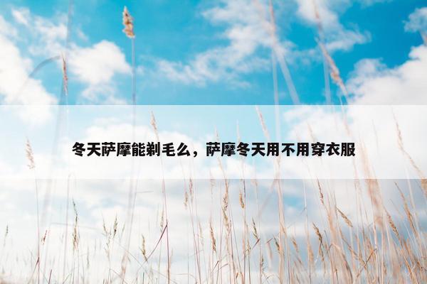 冬天萨摩能剃毛么,萨摩冬天用不用穿衣服