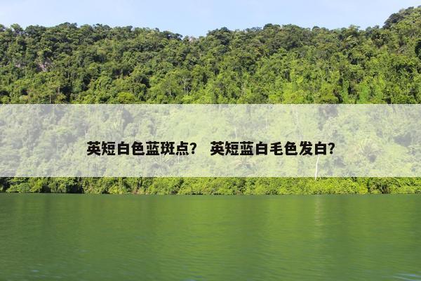英短白色蓝斑点? 英短蓝白毛色发白?