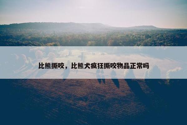 比熊撕咬,比熊犬疯狂撕咬物品正常吗