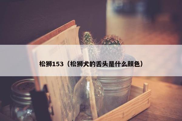 松狮153(松狮犬的舌头是什么颜色)
