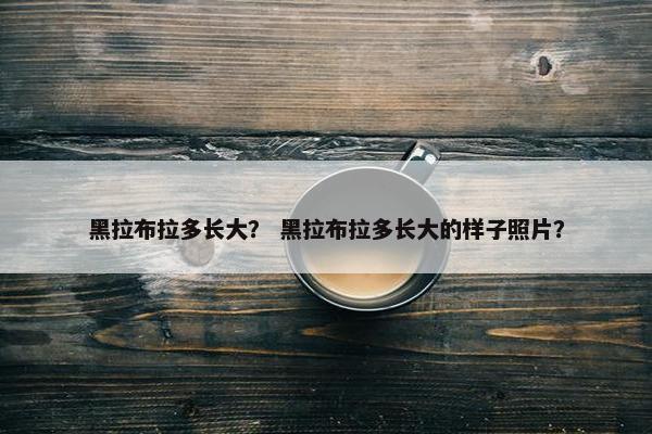 黑拉布拉多长大？ 黑拉布拉多长大的样子照片？