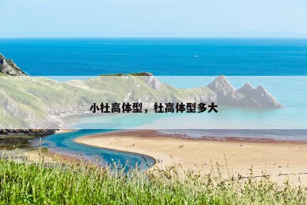 小杜高体型,杜高体型多大