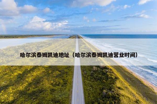 哈尔滨泰姆凯迪地址(哈尔滨泰姆凯迪营业时间)