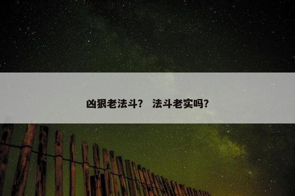 凶狠老法斗? 法斗老实吗?