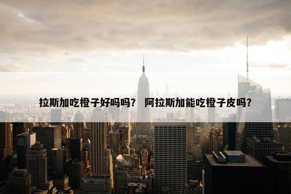 拉斯加吃橙子好吗吗? 阿拉斯加能吃橙子皮吗?