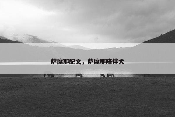 萨摩耶配文，萨摩耶陪伴犬