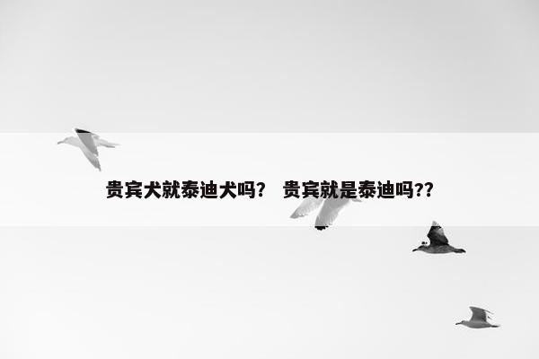 贵宾犬就泰迪犬吗? 贵宾就是泰迪吗??