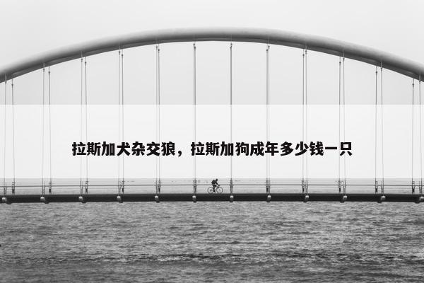 拉斯加犬杂交狼,拉斯加狗成年多少钱一只