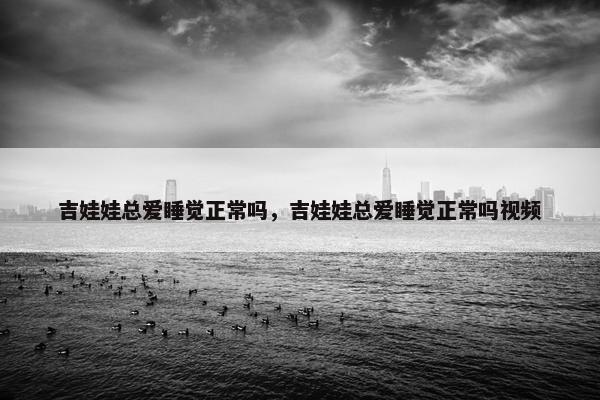 吉娃娃总爱睡觉正常吗,吉娃娃总爱睡觉正常吗视频
