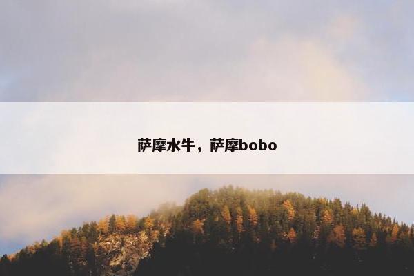 萨摩水牛，萨摩bobo