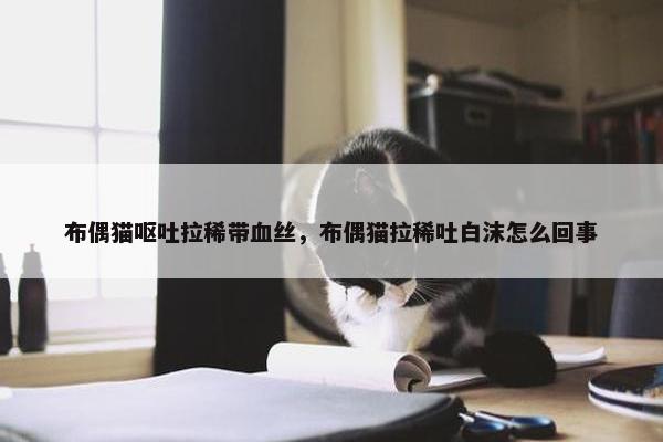 布偶猫呕吐拉稀带血丝,布偶猫拉稀吐白沫怎么回事
