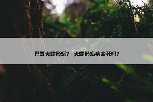 巴哥犬蠕形螨? 犬蠕形螨病会死吗?