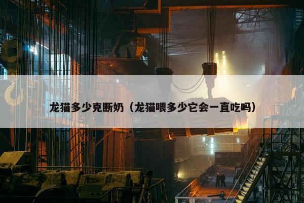 龙猫多少克断奶(龙猫喂多少它会一直吃吗)