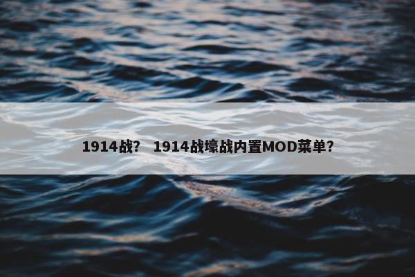 1914战? 1914战壕战内置MOD菜单?