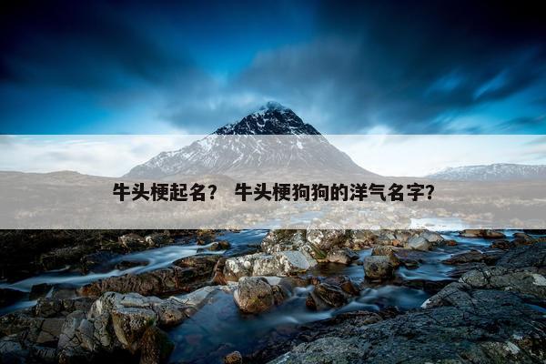 牛头梗起名? 牛头梗狗狗的洋气名字?