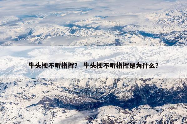 牛头梗不听指挥? 牛头梗不听指挥是为什么?