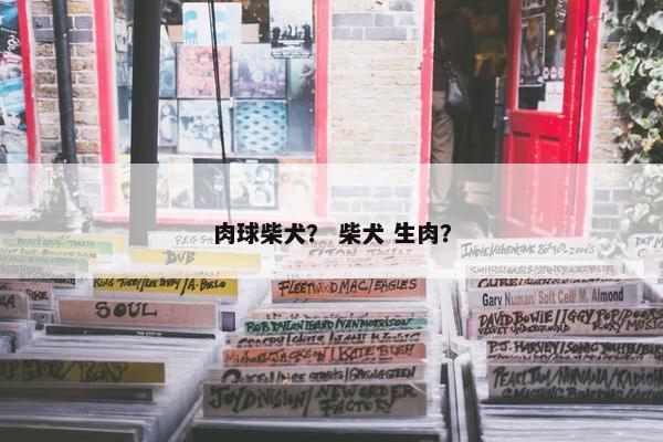 肉球柴犬? 柴犬 生肉?