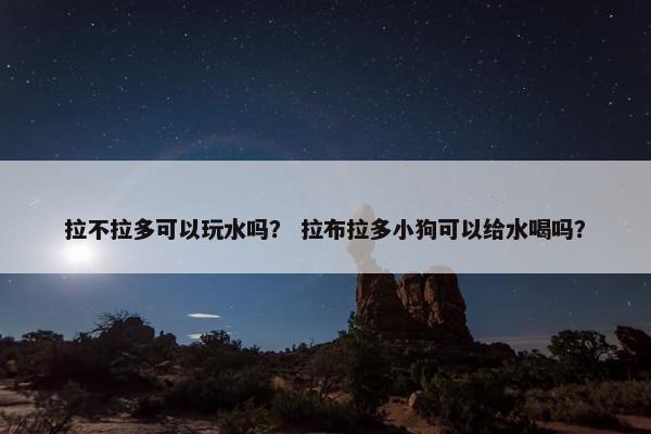 拉不拉多可以玩水吗? 拉布拉多小狗可以给水喝吗?
