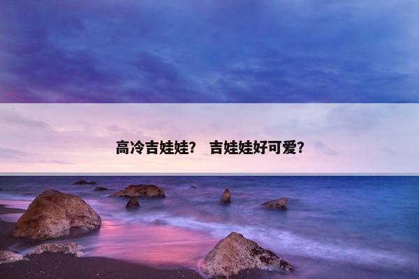 高冷吉娃娃? 吉娃娃好可爱?