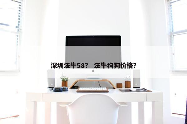 深圳法牛58? 法牛狗狗价格?