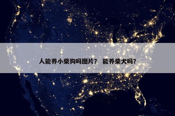 人能养小柴狗吗图片? 能养柴犬吗?