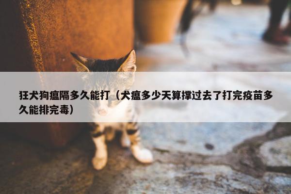 狂犬狗瘟隔多久能打(犬瘟多少天算撑过去了打完疫苗多久能排完毒)