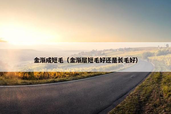 金渐成短毛(金渐层短毛好还是长毛好)