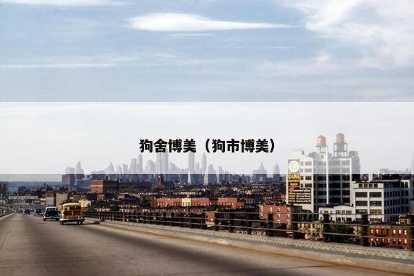 狗舍博美(狗市博美)