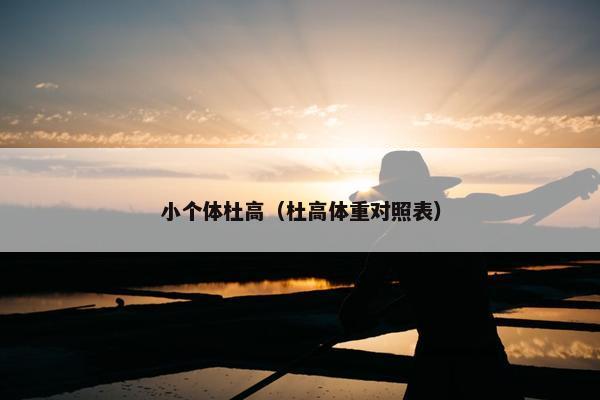 小个体杜高(杜高体重对照表)