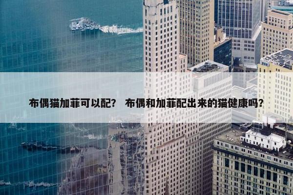 布偶猫加菲可以配? 布偶和加菲配出来的猫健康吗?