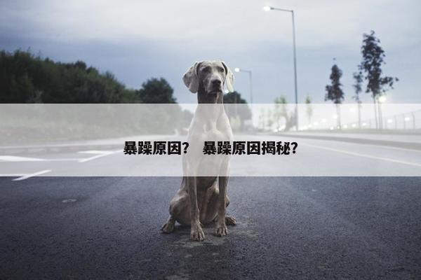 暴躁原因? 暴躁原因揭秘?