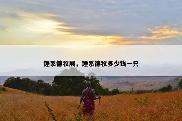 锤系德牧展,锤系德牧多少钱一只