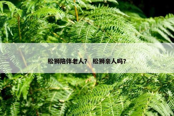 松狮陪伴老人? 松狮亲人吗?